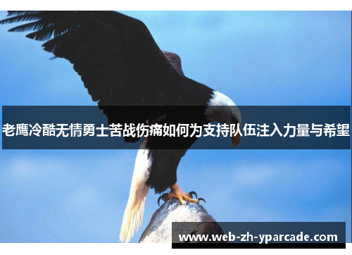 老鹰冷酷无情勇士苦战伤痛如何为支持队伍注入力量与希望 老鹰冷酷无情勇士苦战伤痛如何为支持队伍注入力量与希望
