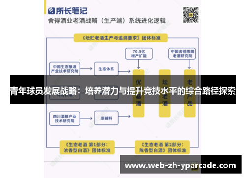 青年球员发展战略：培养潜力与提升竞技水平的综合路径探索